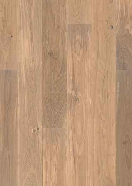Oak Animoso White