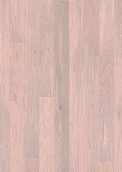Oak Pearl